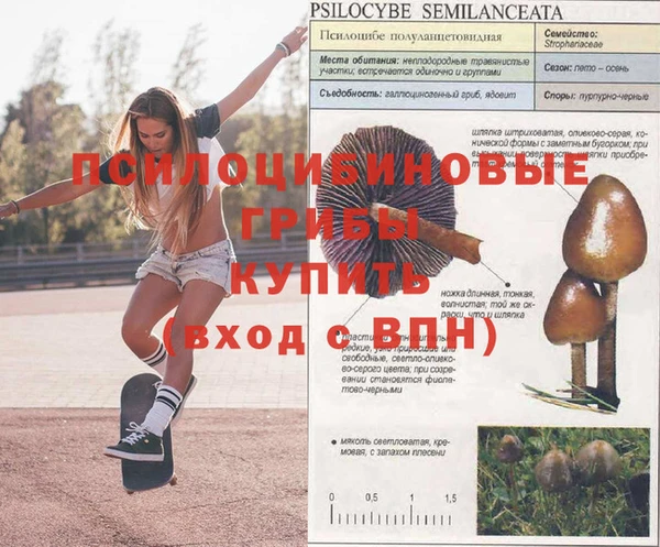 стафф Домодедово